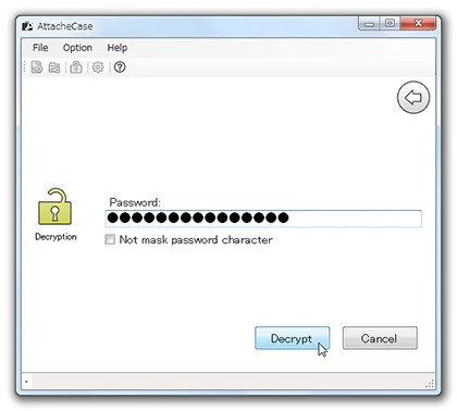 Password input screen for decryption