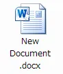 Word file icon